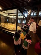 whatsapp image 2026-01-16 at 23.05.56 7